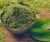 Catnip Herb Powder