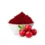 Cranberry Extract Powder