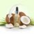Creamy Coconut Fragrance Oil (Cosmetic)