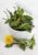 Dandelion Leaf