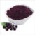 Elderberry Extract