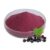 Elderberry Powder