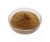 Ginseng Leaf Extract Powder (Cosmetic Grade)
