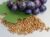 Grape Seed