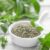 Holy Basil (Tulsi) Leaf