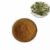 Horny Goat Weed Extract