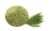 Horsetail Leaf Powder