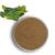 Kelp Extract