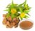 Rhodiola Rosea Root Powder