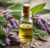 Sage Essential Oil