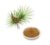 Saw Palmetto Powder