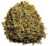 Sheep Sorrel Herb