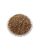 Shivlingi Seeds