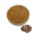 Turkey Tail Mushroom Extract Powder