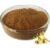 Witch Hazel Extract Powder